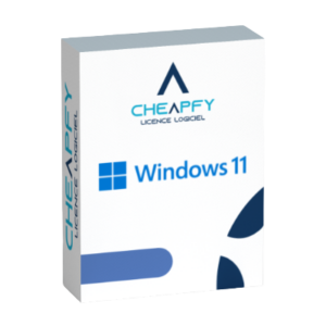 Licences Windows